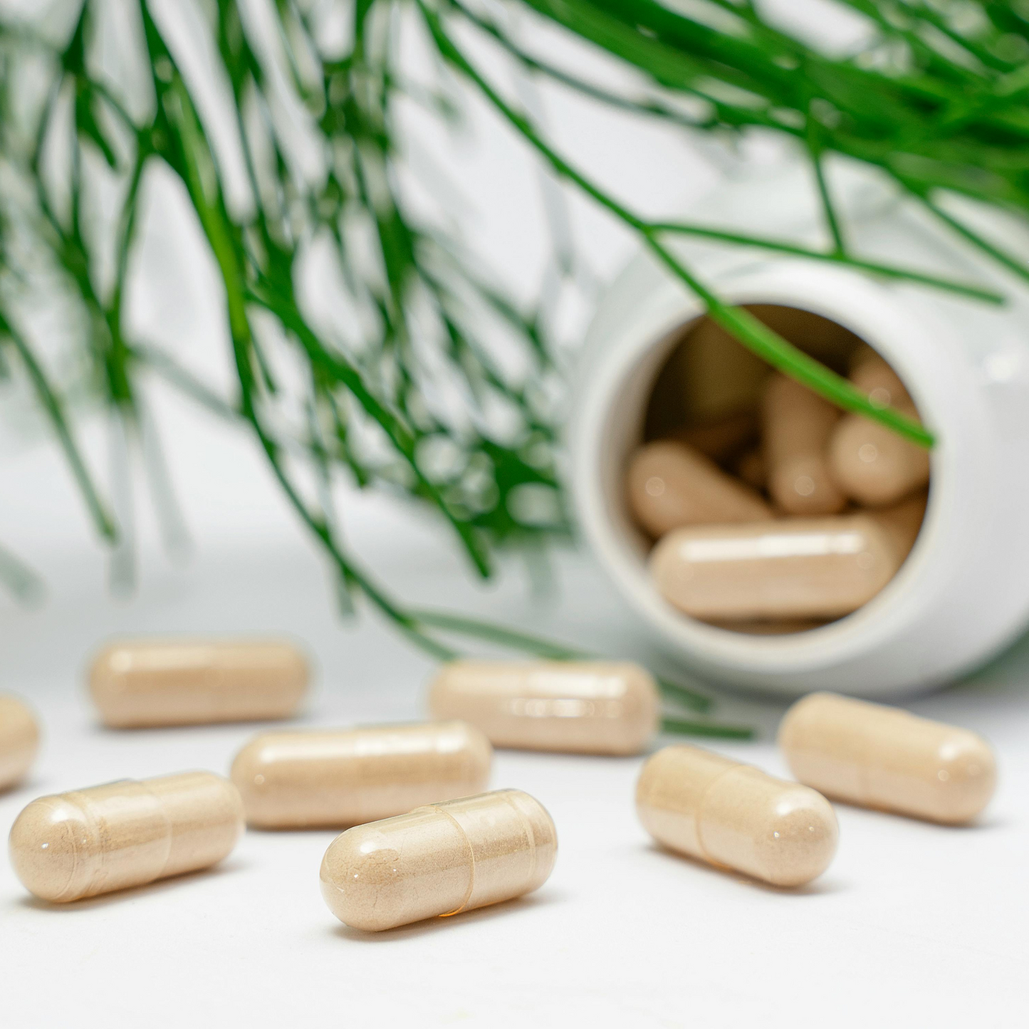 Cold & Flu Capsules